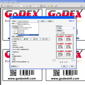 GoLabel PDF